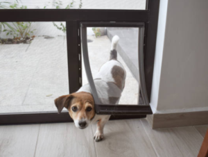 glass panel pet doors