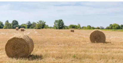 high strength baling twine