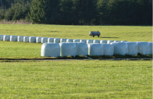 silage wrap
