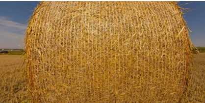 baling twine