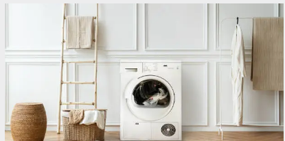 Fisher Paykel washing machine